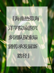 海南热带海洋学院琼韵兴乡团队探索琼剧传承发展新路径