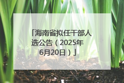 海南省拟任干部人选公告（2025年6月20日）