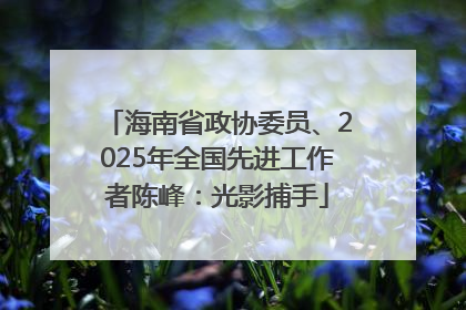 海南省政协委员、2025年全国先进工作者陈峰：光影捕手
