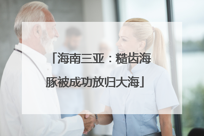海南三亚：糙齿海豚被成功放归大海
