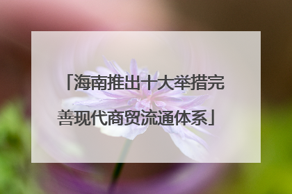 海南推出十大举措完善现代商贸流通体系