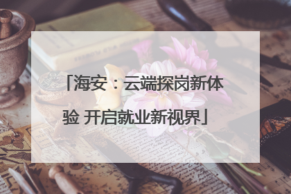 海安：云端探岗新体验 开启就业新视界