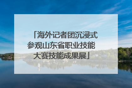 海外记者团沉浸式参观山东省职业技能大赛技能成果展