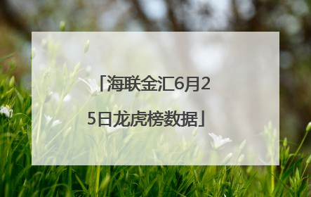 海联金汇6月25日龙虎榜数据