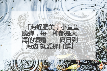 海蛏肥美，小章鱼脆弹，每一种都是大海的馈赠——夏日到海边 就爱那口鲜