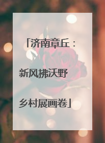 济南章丘：新风拂沃野 乡村展画卷