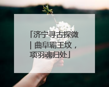 济宁寻古探微｜曲阜霸王坟，项羽魂归处