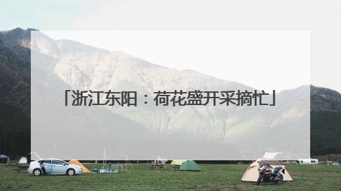 浙江东阳：荷花盛开采摘忙