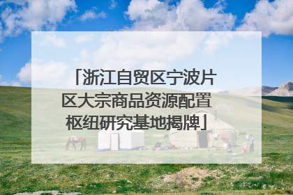 浙江自贸区宁波片区大宗商品资源配置枢纽研究基地揭牌