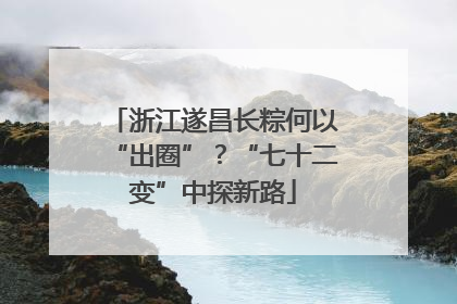 浙江遂昌长粽何以“出圈”？“七十二变”中探新路