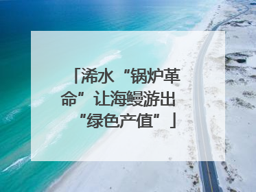 浠水“锅炉革命”让海鳗游出“绿色产值”