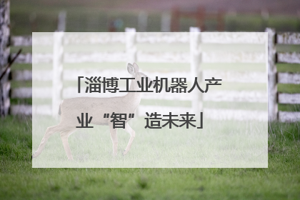 淄博工业机器人产业“智”造未来