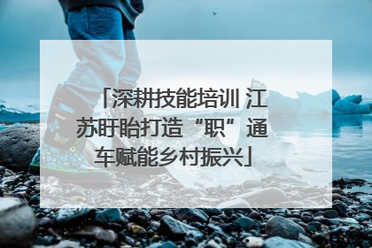 深耕技能培训 江苏盱眙打造“职”通车赋能乡村振兴