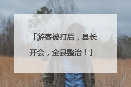 游客被打后，县长开会，全县整治！