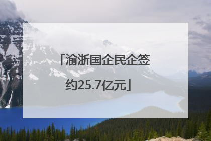 渝浙国企民企签约25.7亿元