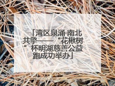 湾区泉涌·南北共擎——“花楸树”杯明湖慈善公益跑成功举办