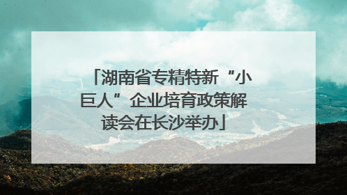 湖南省专精特新“小巨人”企业培育政策解读会在长沙举办