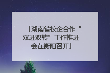 湖南省校企合作“双进双转”工作推进会在衡阳召开