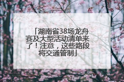 湖南省38场龙舟赛及大型活动清单来了！注意，这些路段将交通管制