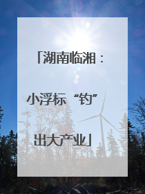 湖南临湘：小浮标“钓”出大产业