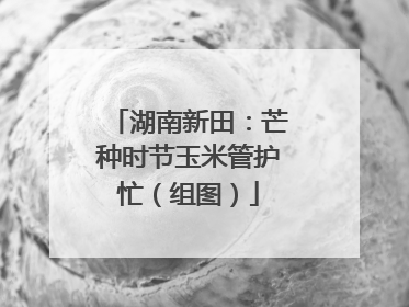 湖南新田：芒种时节玉米管护忙（组图）