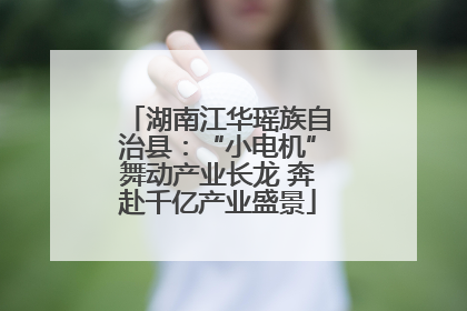 湖南江华瑶族自治县：“小电机”舞动产业长龙 奔赴千亿产业盛景