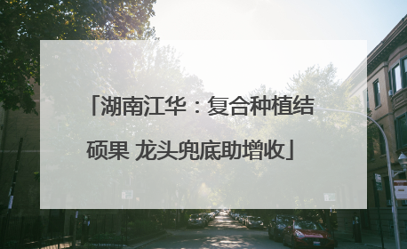 湖南江华：复合种植结硕果 龙头兜底助增收