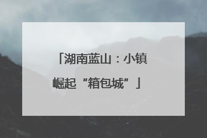 湖南蓝山：小镇崛起“箱包城”