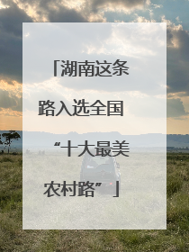 湖南这条路入选全国“十大最美农村路”