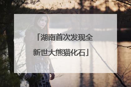湖南首次发现全新世大熊猫化石