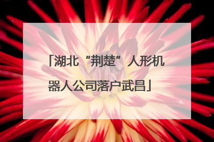 湖北“荆楚”人形机器人公司落户武昌