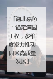 湖北嘉鱼：锚定满园工程，多维度发力推动园区高质量发展