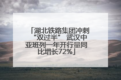 湖北铁路集团冲刺“双过半” 武汉中亚班列一年开行量同比增长72%