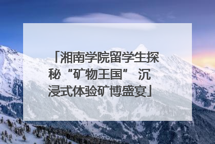 湘南学院留学生探秘“矿物王国” 沉浸式体验矿博盛宴
