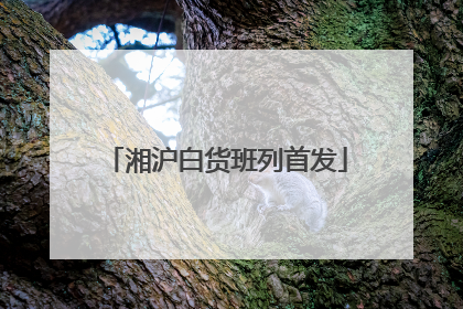 湘沪白货班列首发