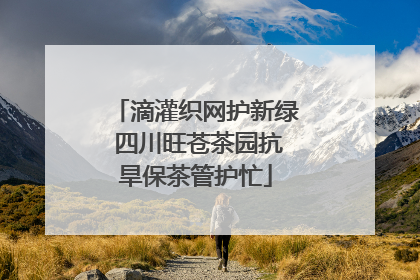 滴灌织网护新绿 四川旺苍茶园抗旱保茶管护忙