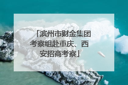 滨州市财金集团考察组赴重庆、西安招商考察