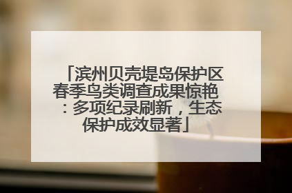 滨州贝壳堤岛保护区春季鸟类调查成果惊艳：多项纪录刷新，生态保护成效显著