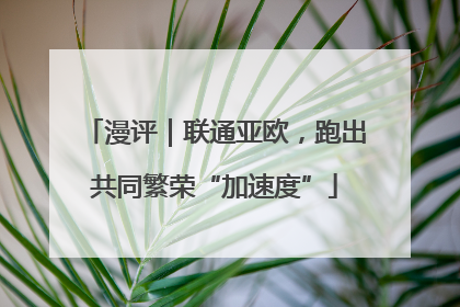 漫评｜联通亚欧，跑出共同繁荣“加速度”