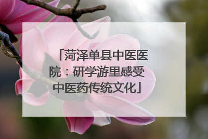 菏泽单县中医医院：研学游里感受中医药传统文化