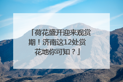 荷花盛开迎来观赏期！济南这12处赏花地你可知？