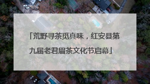 荒野寻茶觅真味，红安县第九届老君眉茶文化节启幕
