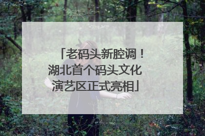 老码头新腔调！湖北首个码头文化演艺区正式亮相
