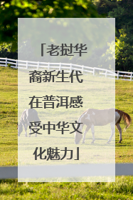 老挝华裔新生代在普洱感受中华文化魅力