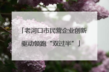 老河口市民营企业创新驱动领跑“双过半”