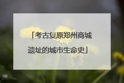 考古复原郑州商城遗址的城市生命史