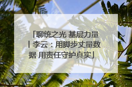 聊统之光 基层力量丨李云：用脚步丈量数据 用责任守护真实