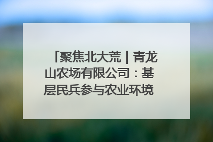 聚焦北大荒｜青龙山农场有限公司：基层民兵参与农业环境综合治理显效