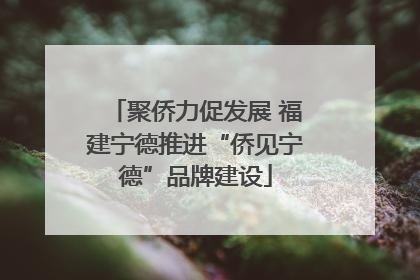 聚侨力促发展 福建宁德推进“侨见宁德”品牌建设