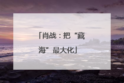 肖战：把“藏海”最大化